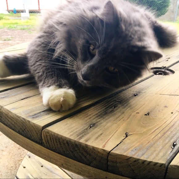 READ ME.txt 💻 - Picture 4 of 9